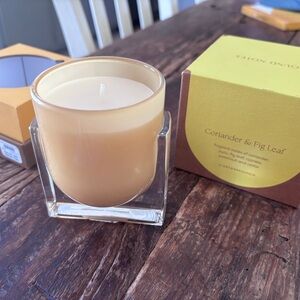Anthropologie Coriander & Fig Leaf Scented Candle